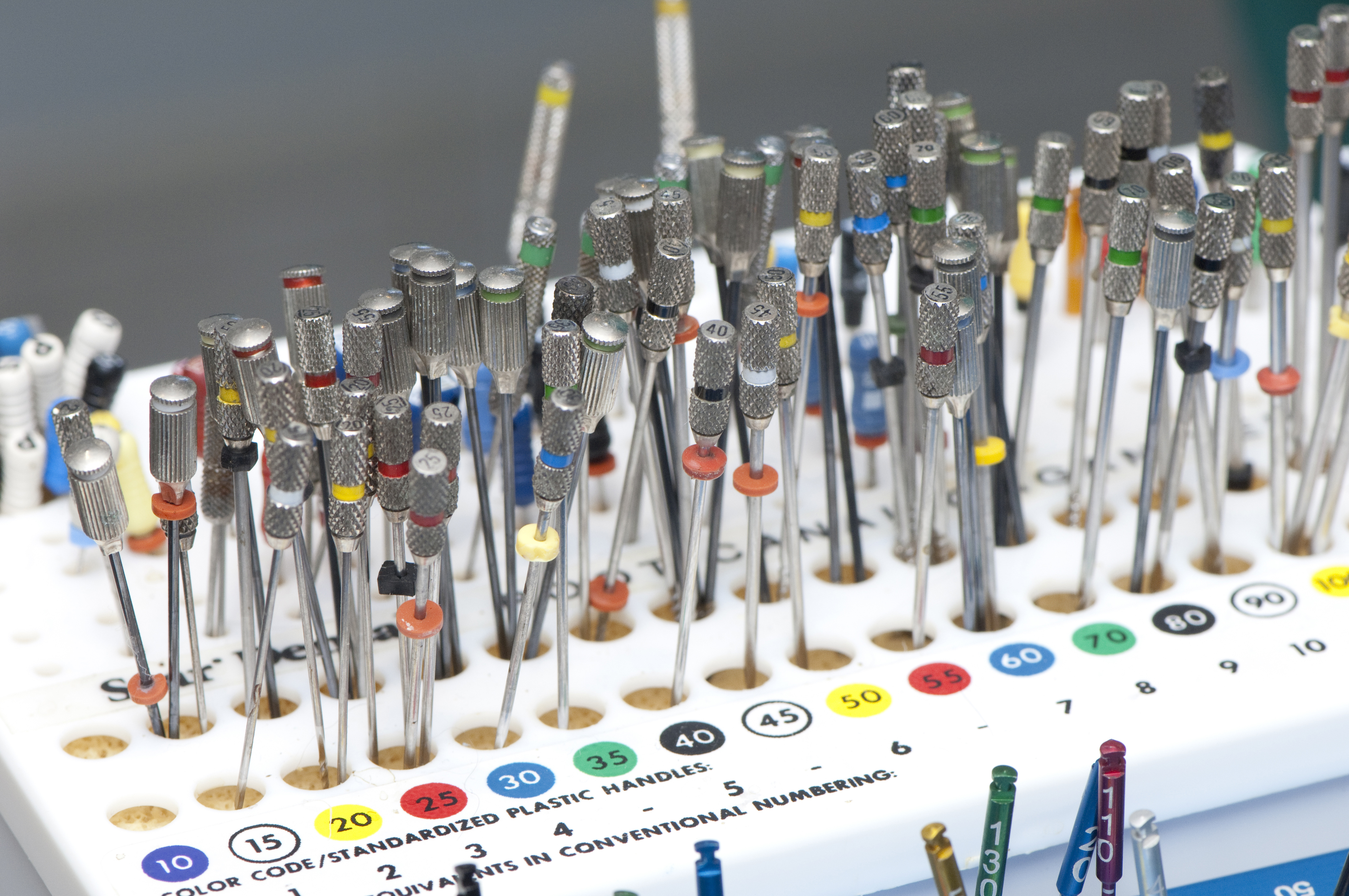 dental equipment at auckland vet dentist