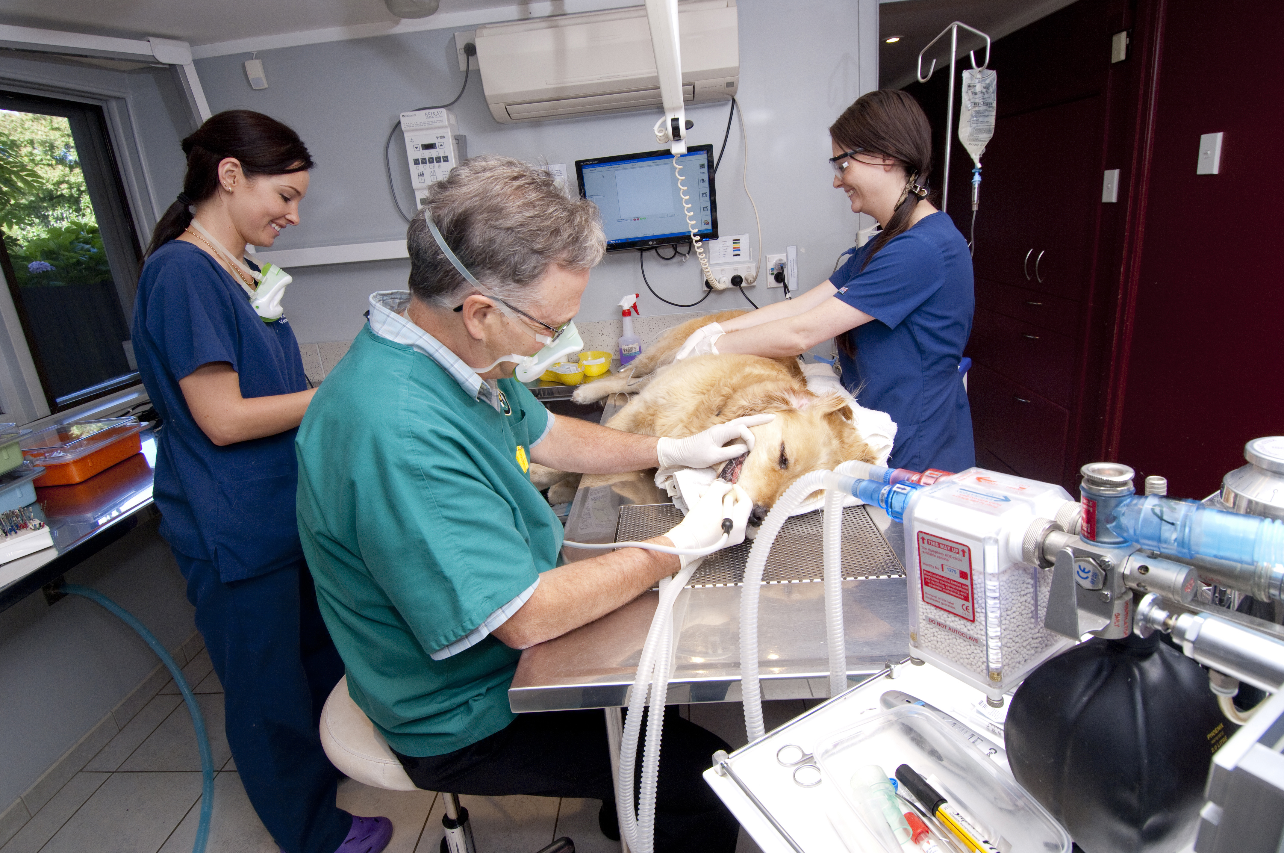Russell tucker doing surgery on a dog