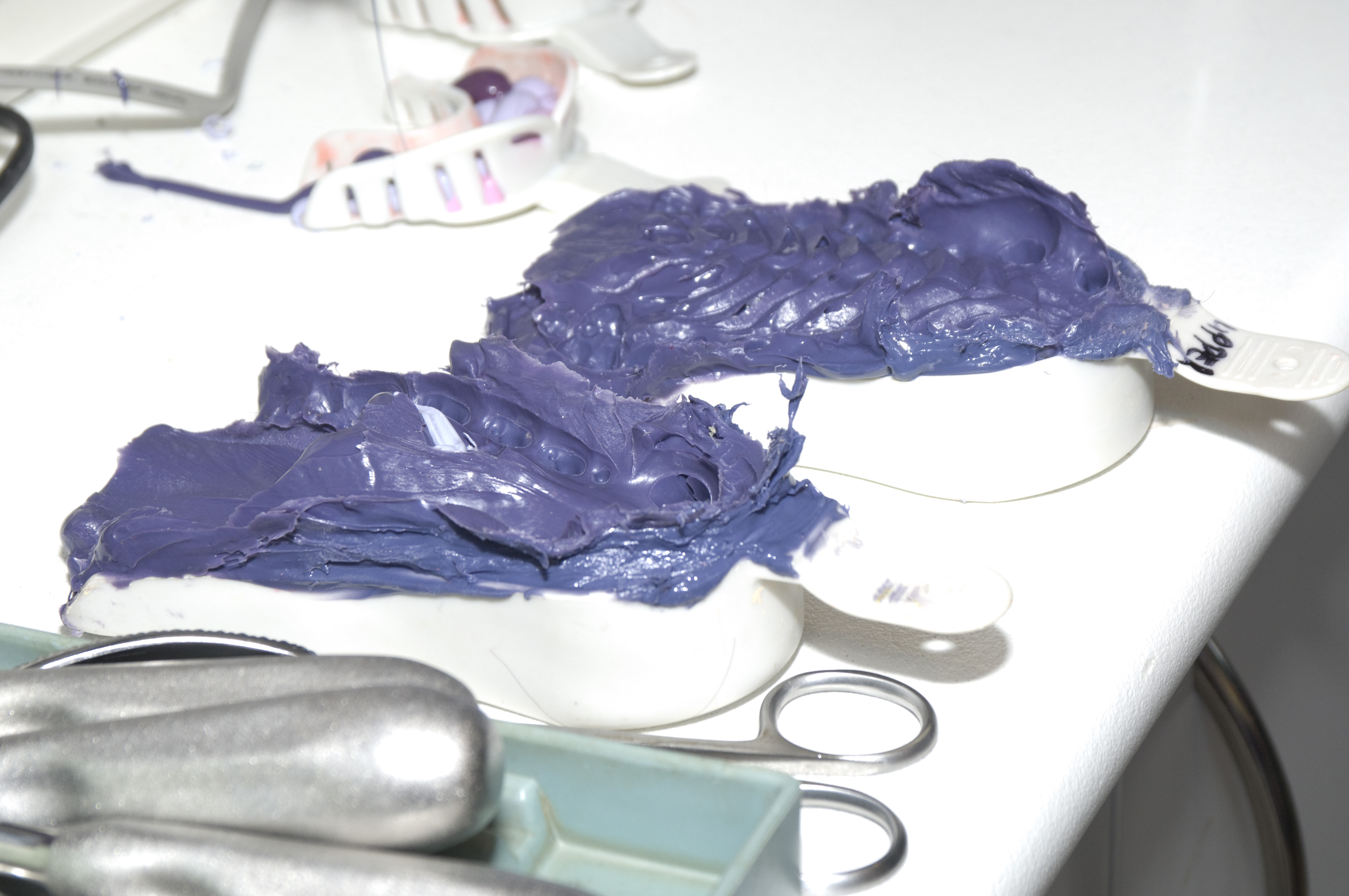 Demta mould of a dog